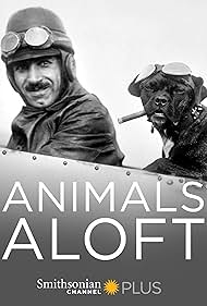 Watch Free Animals Aloft (2009)