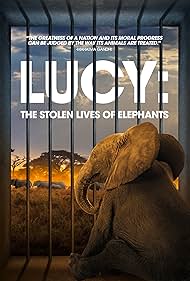 Watch Free Lucy The Stolen Lives of Elephants (2025)